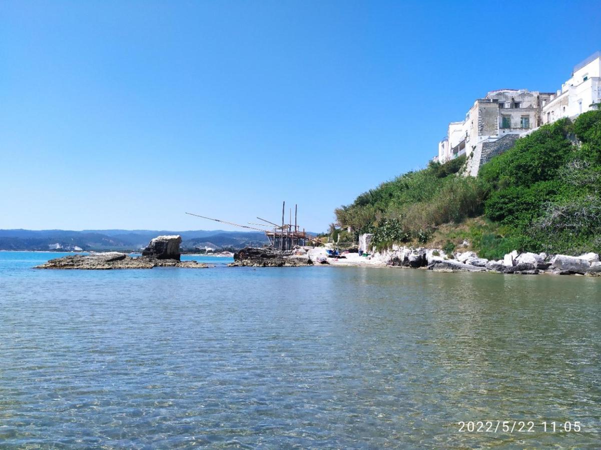 ヴィエステ Casina Viestanaヴィラ エクステリア 写真